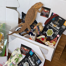 Load image into Gallery viewer, BeardieBox