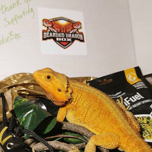 Load image into Gallery viewer, BeardieBox