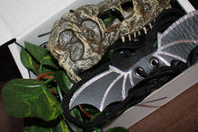 Load image into Gallery viewer, Mini Beardie Box