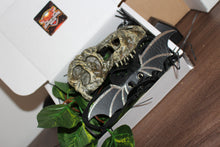 Load image into Gallery viewer, Mini Beardie Box