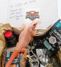 Load image into Gallery viewer, BeardieBox