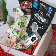 Load image into Gallery viewer, Mini Beardie Box